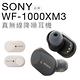 SONY 真無線耳機 WF-1000XM3 無線藍牙 頂級降噪 product thumbnail 2