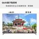 DigiKing 數位新貴 QLED Google TV 50吋4K安卓11艷色域智慧語音聯網液晶(DK-Q50KN2499) product thumbnail 8