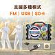 【ifive】 迷彩版歌唱班隨身卡拉OK音響if-SK055(有線麥克風組合) product thumbnail 9