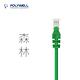 POLYWELL CAT6 高速乙太網路線 UTP 1Gbps 20M 綠色 product thumbnail 8