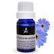 Body Temple  3%德國藍洋甘菊芳療精油(Chamomile German Blue)10ml product thumbnail 2