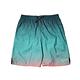 Nike 休閒短褲 JDI Fade 9 Volley Short 男款 湖水綠 內裡 漸層 沙灘褲 海灘褲 NESSC478-626 product thumbnail 2