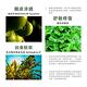 BEVY C. 老虎草角鯊精萃 30mL(肌膚小銀盾) product thumbnail 4