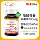 【Lovita愛維他】蜂王漿含6%癸烯酸素食膠囊1000mg (蜂王乳) product thumbnail 3