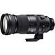 SIGMA 150-600mm F5-6.3 DG DN OS Sports (公司貨) 全片幅微單眼鏡頭 超望遠變焦鏡頭 飛羽攝影 拍鳥 product thumbnail 3