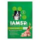 IAMS 愛慕思 健康優活 雞肉 成犬糧 小顆粒 15磅 product thumbnail 2