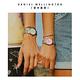 Daniel Wellington DW 手錶 Iconic Link Mint 36mm薄荷綠精鋼錶-粉綠錶盤 DW00100539 product thumbnail 5