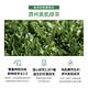 innisfree 綠茶補水保濕新年禮盒 product thumbnail 10