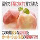 【天天果園】日本山梨縣產溫室水蜜桃原裝盒 1kg(約5-6顆) product thumbnail 2