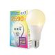 【8入組】億光18.5W LED超節能Plus燈泡 BSMI 節能標章(白光/黃光) product thumbnail 5