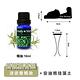 ANDYMAY2 安迪熊珪藻土精油香氛擴香器-1入 AM-R102 product thumbnail 10