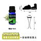 ANDYMAY2 安迪熊珪藻土精油香氛擴香器-1入 AM-R102 product thumbnail 12