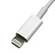 Apple Lightning cable USB數據傳輸/充電線(13.5cm) product thumbnail 3