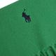 RALPH LAUREN POLO 義大利製小馬刺繡LOGO素面羊毛圍巾(綠色系) product thumbnail 5