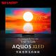 SHARP夏普 75吋 AQUOS Xtreme mini LED 4K智慧連網液晶顯示器 4T-C75FV1X product thumbnail 7