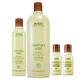 AVEDA 迷迭薄荷洗髮精1000ml+250ml+迷迭薄荷沐浴乳50ml*2 product thumbnail 2