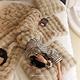 (贈置物籃1入)夢之語 托斯卡納兔毛泡泡毯x牛奶絨毛毯 (多款任選) 素色毯 毛毯 毯被 被子 兔毛毯 「法蘭絨 保暖披肩毯」 product thumbnail 8