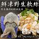 買1送1【海陸管家】鮮凍野生特大軟絲(每隻約500g-600g) 共2隻 product thumbnail 2