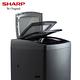 SHARP夏普 16公斤抗菌變頻直立式洗衣機(ES-G16AT-S) product thumbnail 7