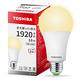 Toshiba東芝 第三代  星光耀16W 高效能LED燈泡 日本設計(白光/自然光/黃光) 4入 product thumbnail 4