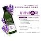 AVALON ORGANICS 薰衣草精油滋潤沐浴露(946ml/32oz) product thumbnail 7