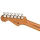 『FENDER』Player 系列限量琴款電吉他 Stratocaster Roasted Maple / 公司貨保固 product thumbnail 8