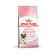 ROYAL CANIN法國皇家-離乳貓與母貓(BC34) 4kg(購買第二件贈送寵物零食x1包) product thumbnail 2