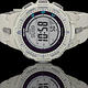 PROTREK 原野時尚戶外登山錶(PRG-300-8D) product thumbnail 3