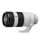 SONY FE 100-400mm F4.5-5.6 GM OSS (公司貨) SEL100400GM product thumbnail 2