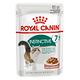 Royal Canin法國皇家 F+7W理想體態貓7+歲齡專用濕糧 85g 12包組 product thumbnail 2