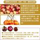 【甜露露】西北雙色櫻桃 紅櫻桃9.5R+白櫻桃9R 1kg(1kg±10%) product thumbnail 4