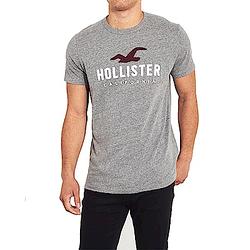 海鷗 Hollister HCO 經典刺繡大海鷗文字短袖T恤-灰色