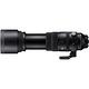 SIGMA 150-600mm F5-6.3 DG DN OS Sports (公司貨) 全片幅微單眼鏡頭 超望遠變焦鏡頭 飛羽攝影 拍鳥 product thumbnail 6