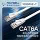 POLYWELL CAT6A 高速網路扁線 30公分 product thumbnail 3