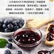 【享吃鮮果】鮮凍藍莓12包組(250g±10%/包) product thumbnail 4