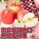 【天天果園】水果雙拼組合-南非富士蘋果+摩天嶺高山7A甜柿 product thumbnail 3