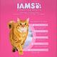 IAMS 愛慕思 健康優活 雞肉 腸胃保健 成貓糧 7磅 2包組 product thumbnail 3