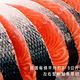 【元家Yens】特·大·厚·智利鮮撈急凍｜厚切鮭魚輪切片 淨重330-400g±10%/片 1片 product thumbnail 9