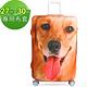 Starke 適用27-30吋高彈性行李箱套 -黃金獵犬 product thumbnail 2