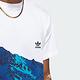 Adidas Sky Mntn Art T IL4731 男 短袖上衣 T恤 運動 休閒 山脈印花 棉質 舒適 白藍 product thumbnail 4