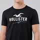 Hollister 經典刺繡大海鷗文字短袖T恤-黑色 product thumbnail 2