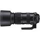 SIGMA 60-600mm F4.5-6.3 DG OS HSM Sports (公司貨) product thumbnail 4