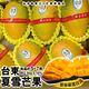 【果農直配】台東芒果界LV夏雪芒果2.5kg (約6-8顆) product thumbnail 2