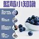 果之蔬 美國加州空運進口藍莓(3盒入/每盒124.7g) product thumbnail 6