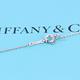 Tiffany&Co. Loving Heart 純銀項鍊 product thumbnail 5