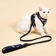 動物星球貓咪專用胸背帶 附專用牽繩 S號 （牽繩 遛貓） product thumbnail 3