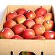 愛蜜果 紐西蘭FUJI富士蘋果35顆禮盒~約9公斤/盒(冷藏配送) product thumbnail 4
