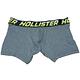 Hollister Co. HCO Hollister   男性內褲 單件 灰色 2255 product thumbnail 2