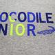 Crocodile Junior小鱷魚童裝- LOGO印圖T恤 ( C65406-23 小碼款) product thumbnail 2