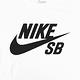 NIKE 男 SB DRY TEE DFCT LOGO 圓領T(短) product thumbnail 4